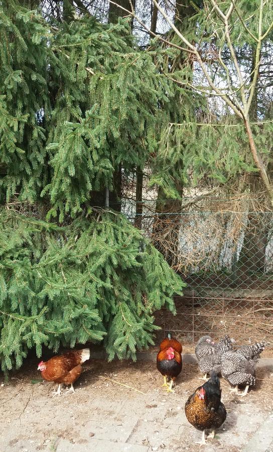Ferienpark Tannenbruchsee Neustadt am Rübenberge Zewnętrze zdjęcie